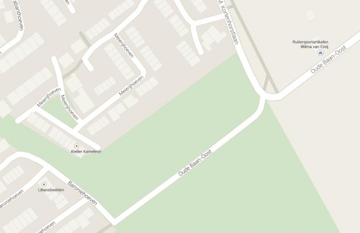 Opening aan Oude Baan Oost