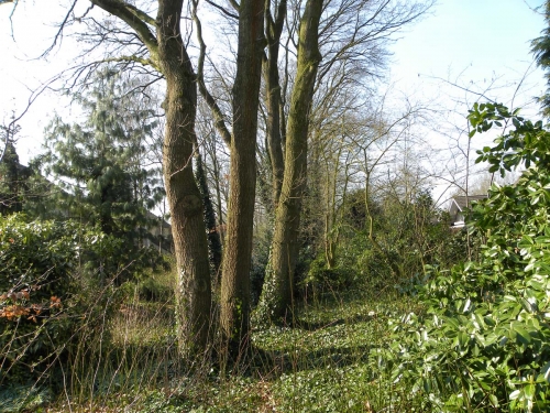 veel groen in Sparrenburg